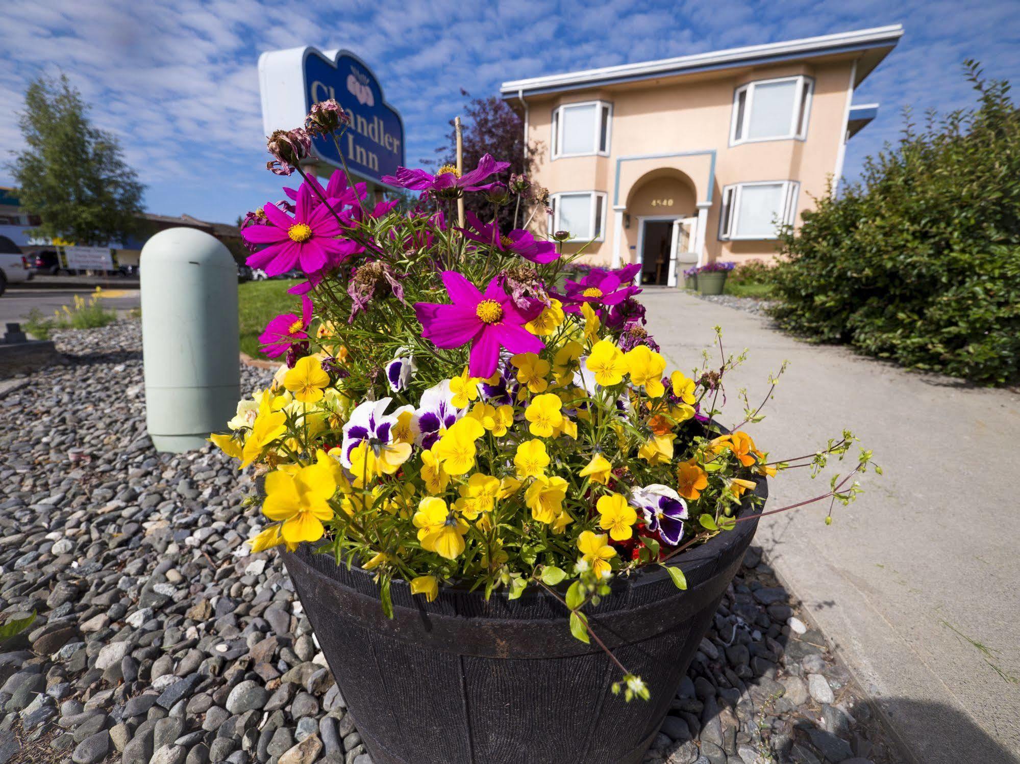 Puffin Inn Anchorage Exterior foto